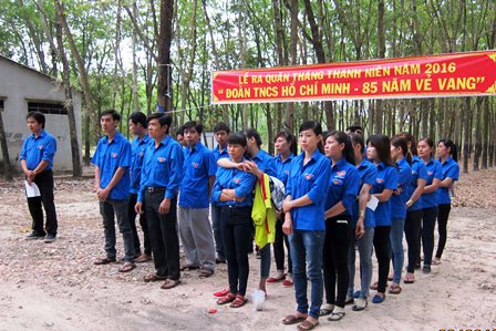Đoàn cơ sở Công ty TNHH MTV Cao Su 30/4 Tây Ninh đã tổ chức triển khai thực hiện công trình thanh niên năm 2016