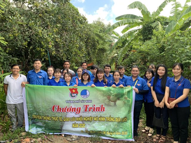 Đoàn Thanh niên thành phố Tây Ninh tổ chức chương trình giao lưu với chuyên đề khởi nghiệp từ Mô hình trồng dưa lưới công nghệ cao.